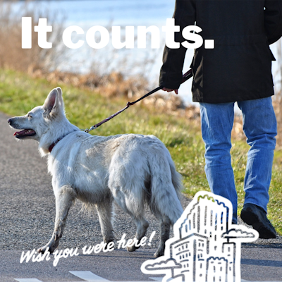 Log Trek distance through your every-day responsibilities that already keep you active, like walking the dog! Track your time to keep your platform entries accurate, or connect a device like fitbit or Garmin to do the logging work for you.